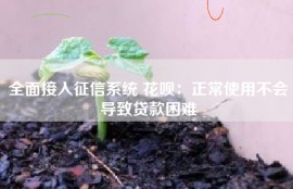 全面接入征信系统 花呗：正常使用不会导致贷款困难