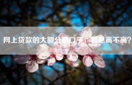 网上贷款的大额分期口子，利息高不高？