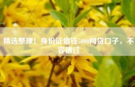 精选整理！身份证借钱5000网贷口子，不容错过