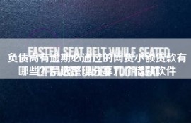 负债高有逾期必通过的网贷小额贷款有哪些？精选整理分享几个借款软件
