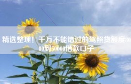 精选整理！千万不能错过的驾照贷额度8000到50000借款口子