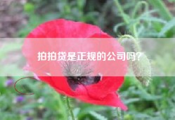 拍拍贷是正规的公司吗？