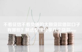 不看征信不看负债的大额贷款借款口子有哪些？精选整理分享几个贷款app