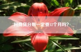 网商贷分期一定要12个月吗？