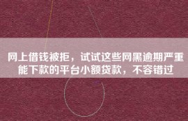 网上借钱被拒，试试这些网黑逾期严重能下款的平台小额贷款，不容错过