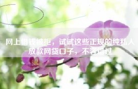 网上借钱被拒，试试这些正规的纯私人放款网贷口子，不容错过