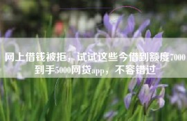 网上借钱被拒，试试这些今借到额度7000到手5000网贷app，不容错过
