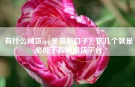 有什么网贷app是最新口子？这几个就是必能下款的网贷平台
