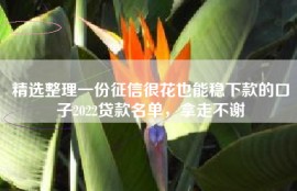 精选整理一份征信很花也能稳下款的口子2022贷款名单，拿走不谢