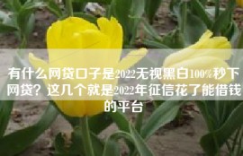 有什么网贷口子是2022无视黑白100%秒下网贷？这几个就是2022年征信花了能借钱的平台