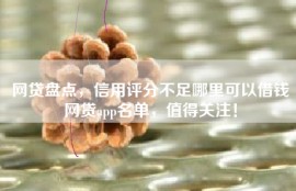 网贷盘点，信用评分不足哪里可以借钱网贷app名单，值得关注！