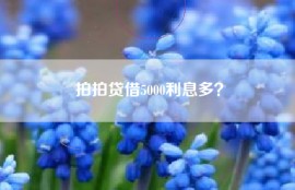 拍拍贷借5000利息多？