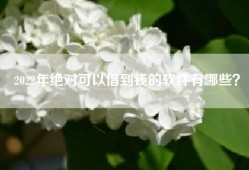 2022年绝对可以借到钱的软件有哪些？