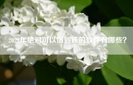 2022年绝对可以借到钱的软件有哪些？