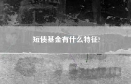 短债基金有什么特征?