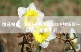 精选整理，新口子必下款2022小额贷款一览表，拿走不谢