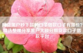网贷黑户秒下款的口子借款口子有哪些？精选整理分享黑户大额分期贷款口子借款平台