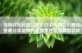 急用钱如何贷款借款口子有哪些？精选整理分享逾期严重哪里还能借款借款软件