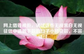 网上借钱被拒，试试这些无视黑白无视征信申请就下款的口子小额贷款，不容错过