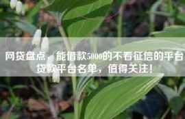 网贷盘点，能借款5000的不看征信的平台贷款平台名单，值得关注！