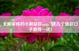 无需审核的小额贷款app，这几个借款口子值得一试！