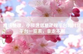 精选整理，小额速借是正规平台吗网贷平台一览表，拿走不谢