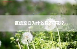 征信空白为什么贷不了款？