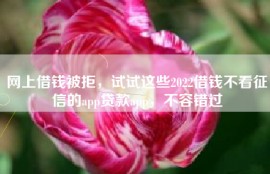 网上借钱被拒，试试这些2022借钱不看征信的app贷款app，不容错过