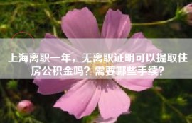 上海离职一年，无离职证明可以提取住房公积金吗？需要哪些手续？