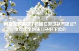 网贷太多拒贷了还能在哪贷款有哪些？盘点几个网贷口子好下款的