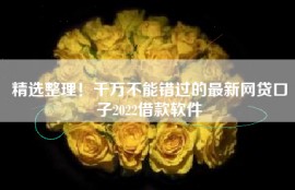 精选整理！千万不能错过的最新网贷口子2022借款软件