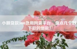 小额贷款5000急用网贷平台，盘点几个好下款的借款！