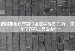 借呗花呗还有其他金融平台借了5万，欠5年了还不上怎么办？