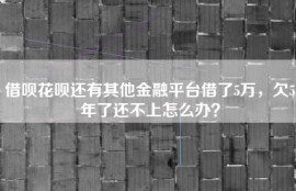借呗花呗还有其他金融平台借了5万，欠5年了还不上怎么办？