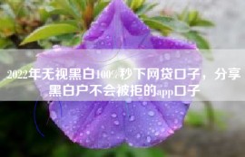 2022年无视黑白100%秒下网贷口子，分享黑白户不会被拒的app口子