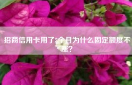 招商信用卡用了5个月为什么固定额度不涨？