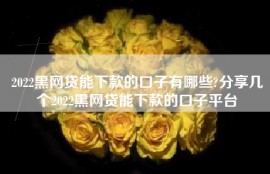 2022黑网贷能下款的口子有哪些?分享几个2022黑网贷能下款的口子平台