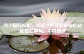 网上借钱被拒，试试这些放款最快的贷款贷款平台，不容错过