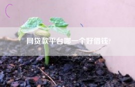网贷款平台哪一个好借钱?