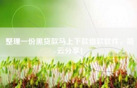 整理一份黑贷款马上下款借款软件，简云分享！