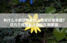 有什么小额贷款是私人借贷在哪里借？这几个就是私人借贷在哪里借