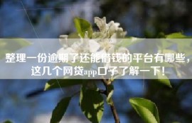 整理一份逾期了还能借钱的平台有哪些，这几个网贷app口子了解一下！