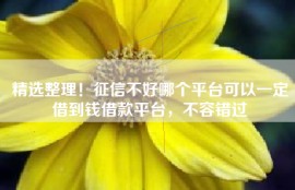 精选整理！征信不好哪个平台可以一定借到钱借款平台，不容错过