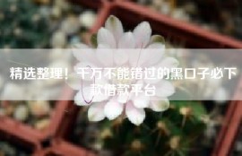 精选整理！千万不能错过的黑口子必下款借款平台