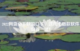 2022网贷必下款的口子，这几个借款软件值得一试！