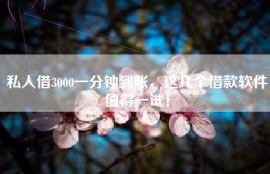 私人借3000一分钟到账，这几个借款软件值得一试！