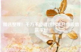精选整理！千万不能错过的黑户借钱借款平台