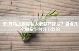 借2万马上到账私人放款有哪些？盘点几个网贷平台好下款的