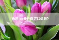 急用1000元在哪可以借到？