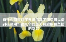 有什么网贷口子是征信乱了哪里可以借到钱急用？这几个就是无视逾期和负债的贷款